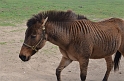 Kids_SharkarosaRanch-2013 (124)